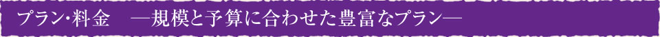 プラン・料金　─規模と予算に合わせた豊富なプラン─